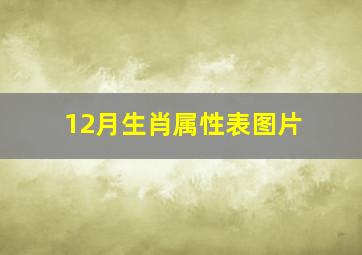 12月生肖属性表图片