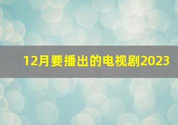 12月要播出的电视剧2023