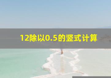 12除以0.5的竖式计算