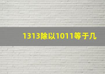 1313除以1011等于几