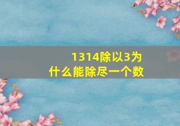 1314除以3为什么能除尽一个数