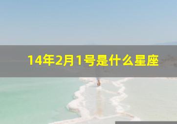 14年2月1号是什么星座