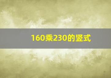 160乘230的竖式