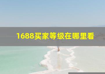 1688买家等级在哪里看