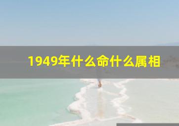 1949年什么命什么属相