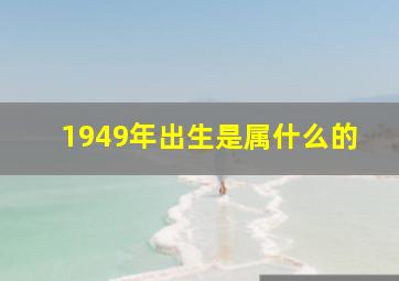 1949年出生是属什么的