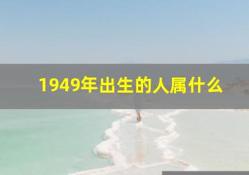 1949年出生的人属什么