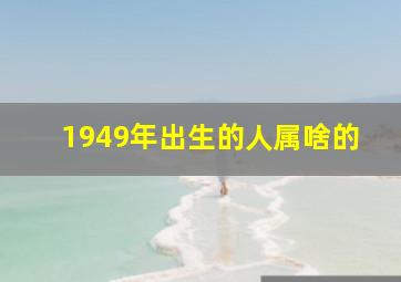 1949年出生的人属啥的