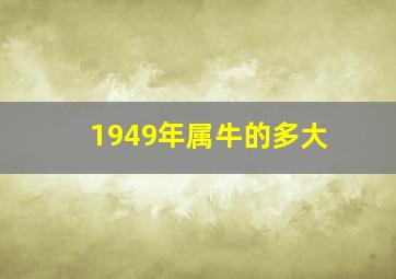 1949年属牛的多大