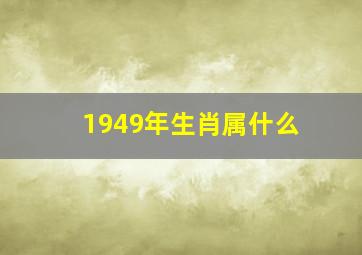 1949年生肖属什么