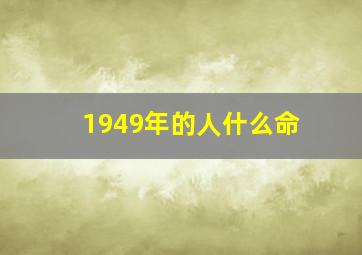 1949年的人什么命