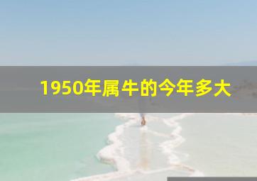 1950年属牛的今年多大