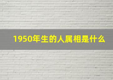 1950年生的人属相是什么