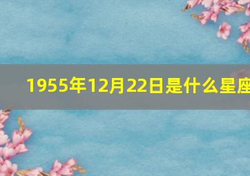 1955年12月22日是什么星座