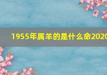 1955年属羊的是什么命2020