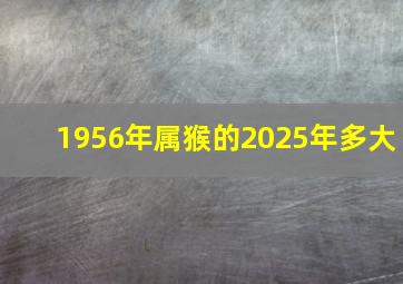 1956年属猴的2025年多大