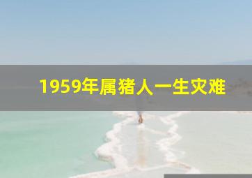 1959年属猪人一生灾难