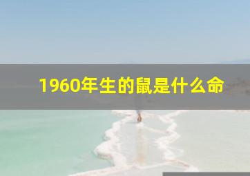 1960年生的鼠是什么命