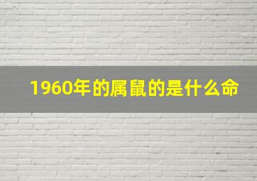 1960年的属鼠的是什么命