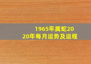 1965年属蛇2020年每月运势及运程