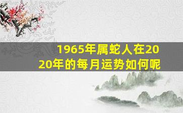 1965年属蛇人在2020年的每月运势如何呢