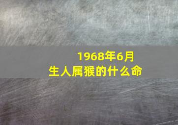 1968年6月生人属猴的什么命