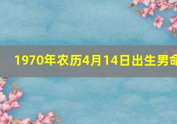 1970年农历4月14日出生男命