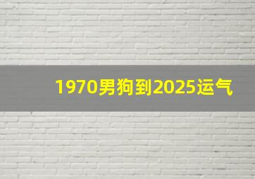 1970男狗到2025运气