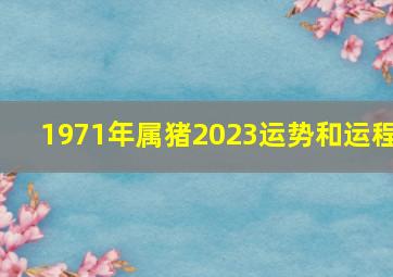 1971年属猪2023运势和运程