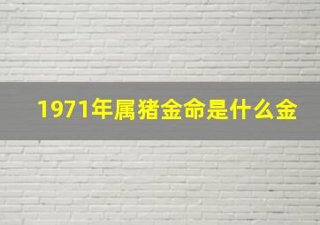 1971年属猪金命是什么金