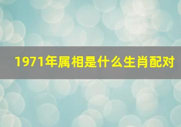 1971年属相是什么生肖配对