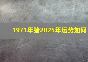 1971年猪2025年运势如何