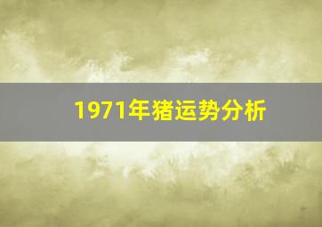 1971年猪运势分析