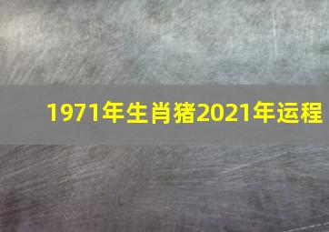 1971年生肖猪2021年运程