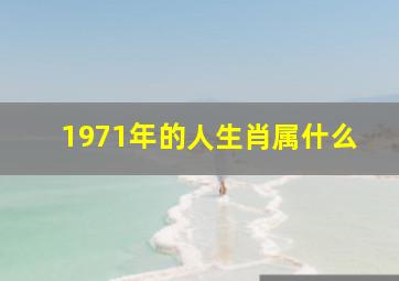 1971年的人生肖属什么