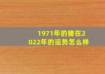 1971年的猪在2022年的运势怎么样