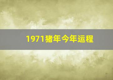 1971猪年今年运程