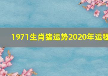 1971生肖猪运势2020年运程