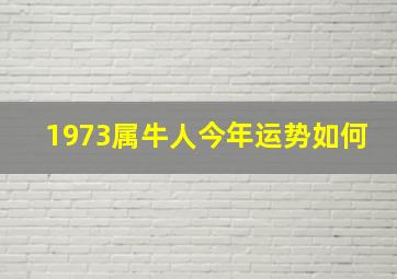 1973属牛人今年运势如何