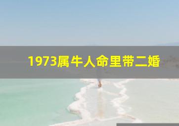 1973属牛人命里带二婚