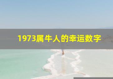 1973属牛人的幸运数字