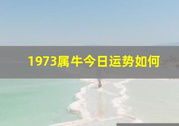 1973属牛今日运势如何