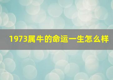 1973属牛的命运一生怎么样