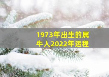 1973年出生的属牛人2022年运程