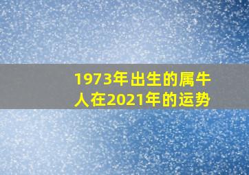 1973年出生的属牛人在2021年的运势