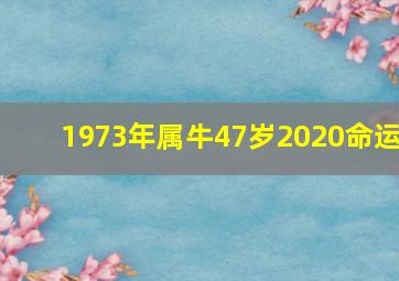 1973年属牛47岁2020命运