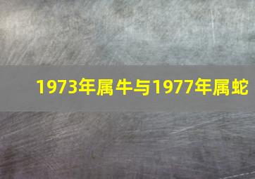 1973年属牛与1977年属蛇