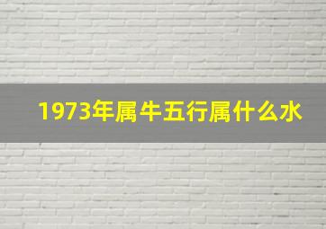 1973年属牛五行属什么水