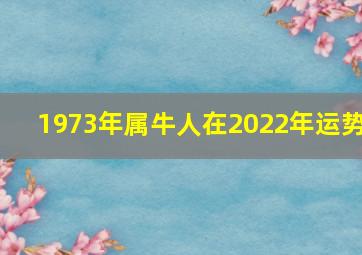 1973年属牛人在2022年运势