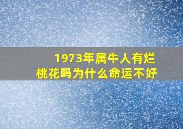 1973年属牛人有烂桃花吗为什么命运不好